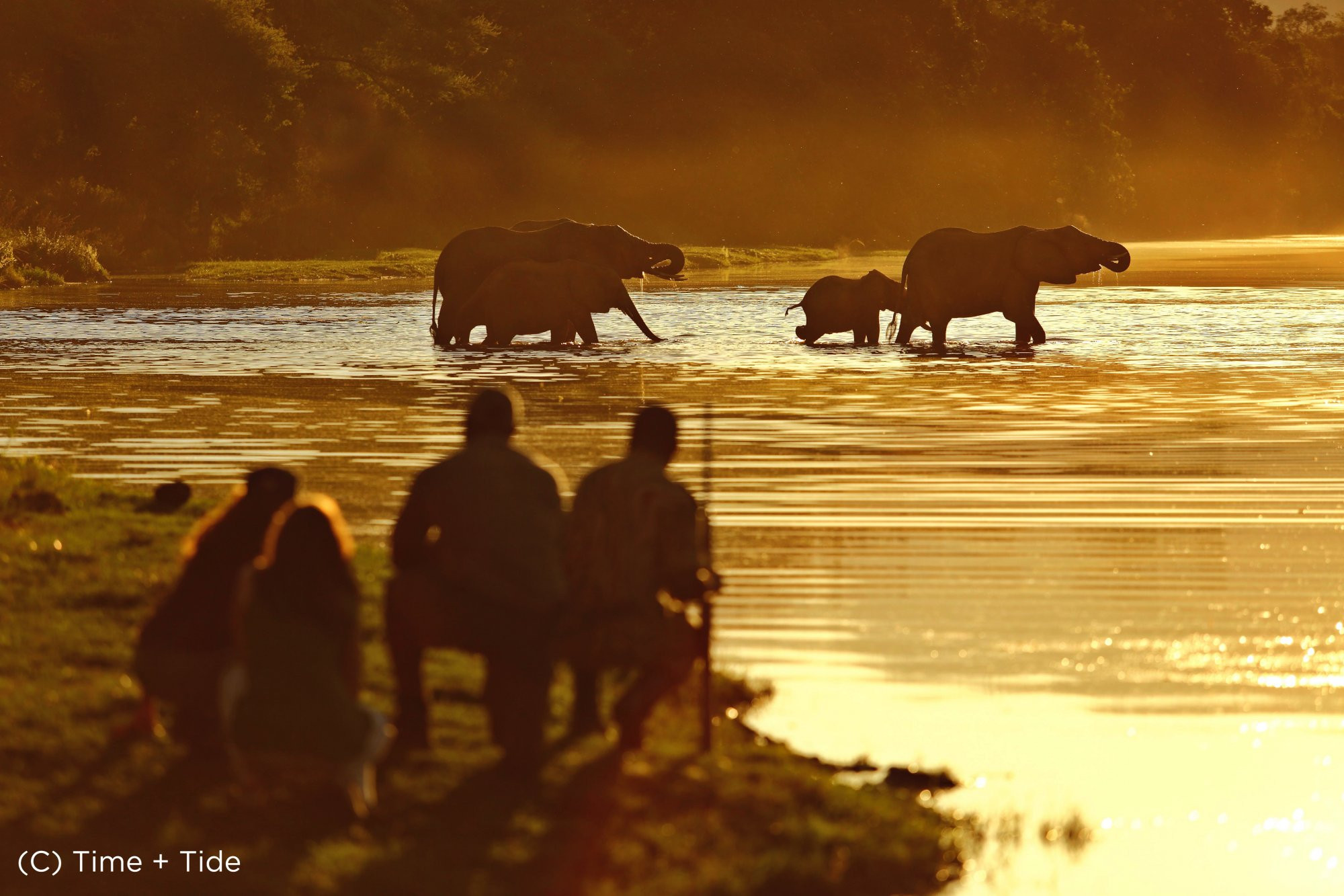 Safári na Zâmbia e Victoria Falls